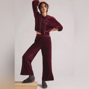 Daily Practice‎ by Anthropologie Velour Pants color Wine Purple Red small NWT